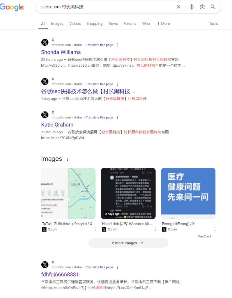 图片[4]_Twitter（X）推特发帖软件工具，推特发帖协议软件Twitter（X）推特发帖软件_协议引流软件_引流软件_营销软件-定制开发协议推广软件_SEO排名优化软件_邮件推广软件_谷歌引流搜索外推软件【村长黑科技】