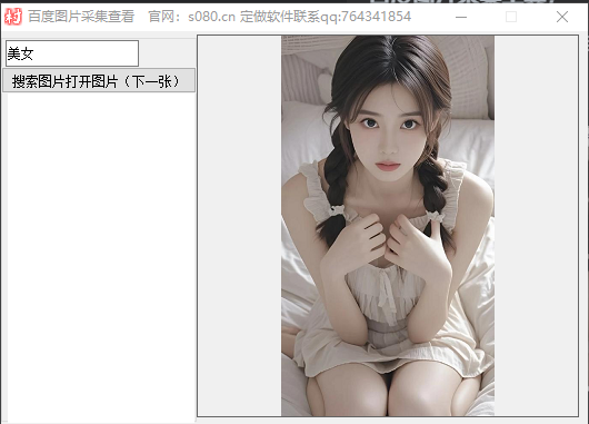 百度图片采集工具，一键采集图片_软件工具论坛_资源分享/seo教程分享_协议引流软件_引流软件_营销软件-定制开发协议推广软件_SEO排名优化软件_邮件推广软件_谷歌引流搜索外推软件【村长黑科技】